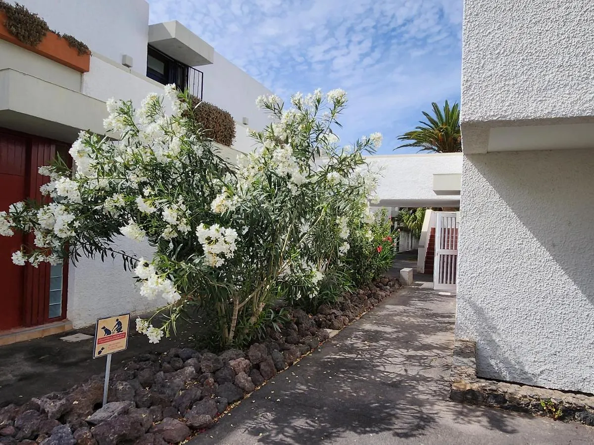 Casa De Mariposas Apartment Costa Del Silencio